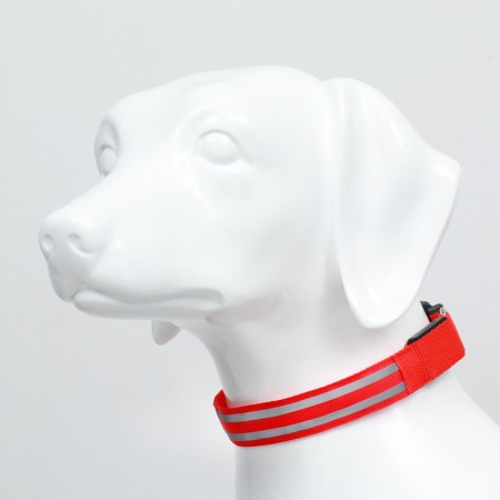 Collar with backlighting double strip size m, Osh 40-48 x 2.5 cm, 3 glow modes red-2