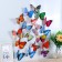Magnet Plastic "Polored butterfly" mix 8x10 cm