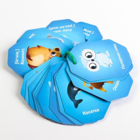 Cards on the ring for learning English "animals of poles", 20 cards, ring, 3+-1