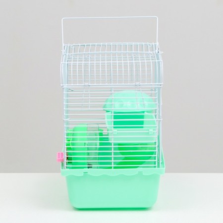 The cage for the rodents "Pigzon", 23 x 17 x 26 cm, enamel, green-2