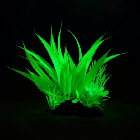 The plant is artificial aquarium, luminous, 10 cm, green-4