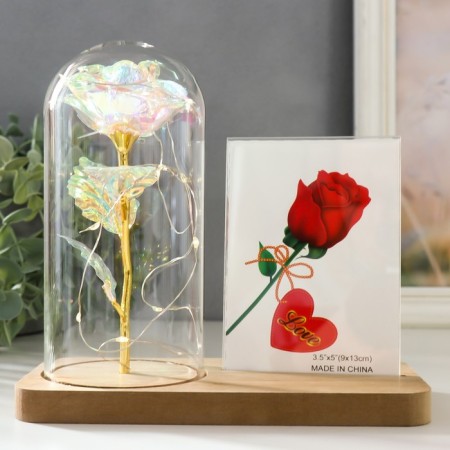 Photo frame 9x13 cm Light "Holography. Rose in a flask" from batteries 2xlr1130 9.8x19.5x18 cm