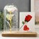 Photo frame 9x13 cm Light "Holography. Rose in a flask" from batteries 2xlr1130 9.8x19.5x18 cm