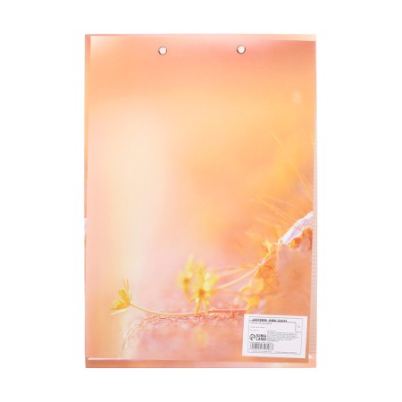 Tablet with a pressing format A4 Cardboard "Travel", mix-6