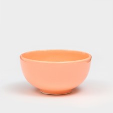 Saladnik 