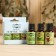 A set of essential oils pine, fir, cedar, "Dobroparov", 3 pcs of 17 ml