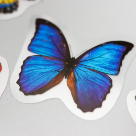 Stickers for creativity "Butterfly in the bank" set of 35 pcs 13.3x9.2 cm-1