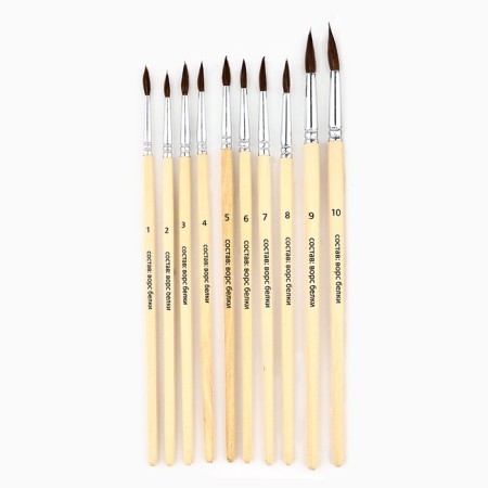 Drawing brush, set of protein round, 10 pcs. No. 1.2,3,4,5,6,7,8,9,10 Van Gogh-1
