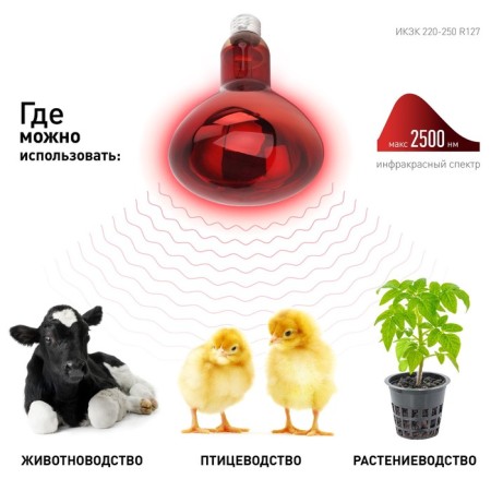 Infrared lamp ERA IKZK 220-250 R127 The multiplicity of 1 pc e27 / e27 for heating animals and lighting-2