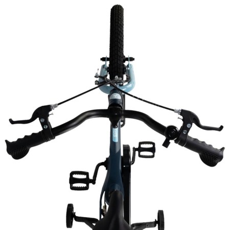 Bicycle 16 ’’ maxiscoo Space standard, color matte ultramarin-5