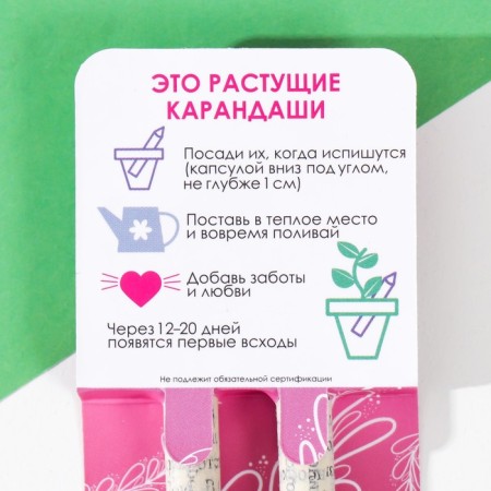 Growing gift pencils Mini "Basil + Mint" set 2 pcs.-2