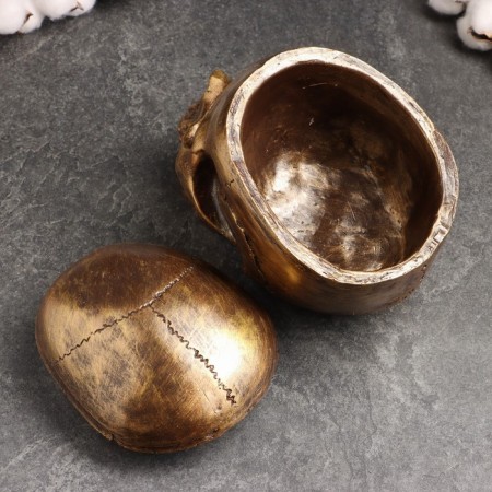 Bronze Skull Casket for Skull, 16x15x22cm-4