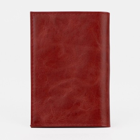 Cover for passport, red color-1