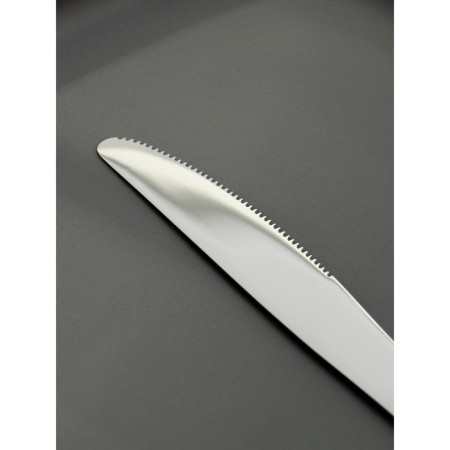 A stainless steel knife of the Sofia shade, length 20.8 cm, thickness 4 mm-1