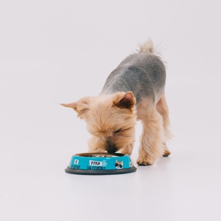 Metal bowl for a dog with a non -slip base “Officer Pupsik”, 235 ml, 15x3.5 cm-2