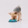 Metal bowl for a dog with a non -slip base “Officer Pupsik”, 235 ml, 15x3.5 cm