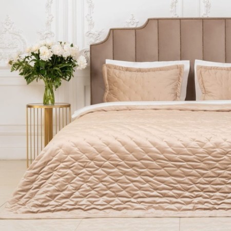 Cover 250x260 - 2 (50x70) ANSEL beige