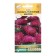Flowers of Astra Siring Purple mantle, 0.1 g