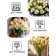 Eustoma Eustoma "Aibisi" F1 Green Large Trushworm, 5 pcs