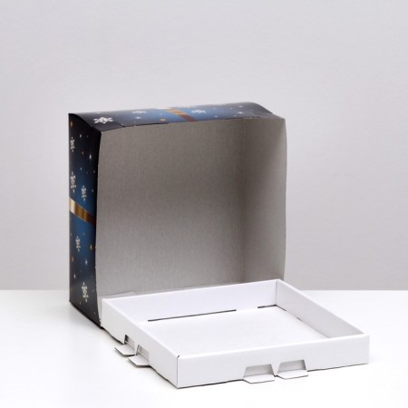 Gold Bant cake box, 24 x 24 x 12 cm, 1.5 kg-2