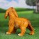 Garden figure "puppy cocker spaniel red" 30x16x24cm
