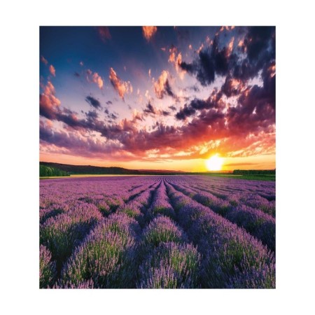 Set of napkins for setting the table "Lavender Field", rectangular, size 32x46 cm, 4 pcs-2