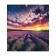 Set of napkins for setting the table "Lavender Field", rectangular, size 32x46 cm, 4 pcs