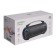 Digma D-PS1523, 25W, BT, Microsd, USB, AUX, FM, 1800 Mach, black