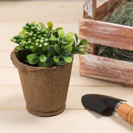 Peat pot, 250 ml, 8 × 8 cm, set 20 pcs., Greengo-8
