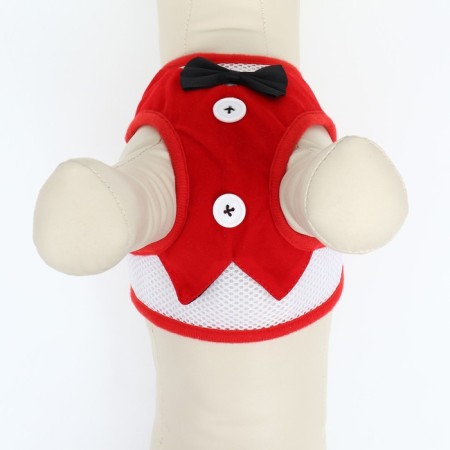 A set with a soft harness and a bow, size l, leash 120 x 1.5 cm, og 35-50 cm, red-5