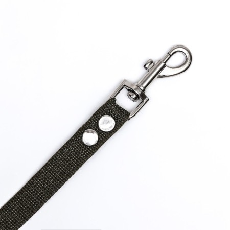 Land canvas 2 m x 2 cm, dark green-3
