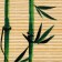 Qinovka Makis for the preparation of land and rolls "Bamboo", 22 x 24 cm