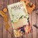 Ethel towel Hello 40x73 cm, 100% HL, sarzha 190 g/m2