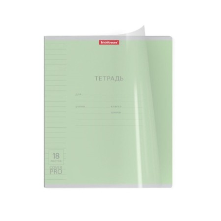 Notebook A5+, 18 sheets in the Erichkrause line "Coverpro classic", plastic cover, offset unit, whiteness 100%, mix-2