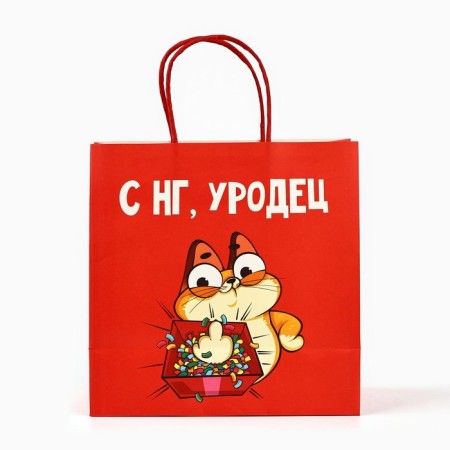 Gift Package "Freak", 22 x 22 x 11 cm, New Year-3