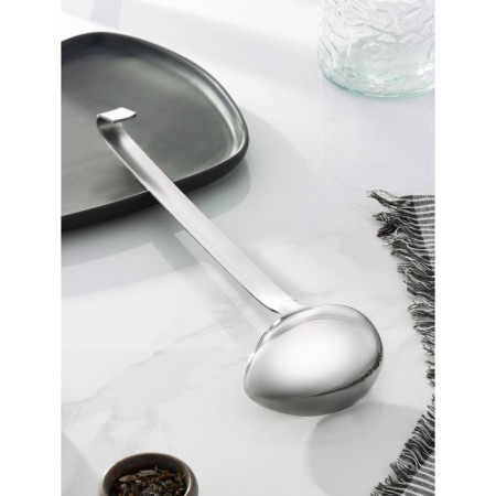 A spoon for stainless steel sauce “India”, 90 ml, 25 cm-1