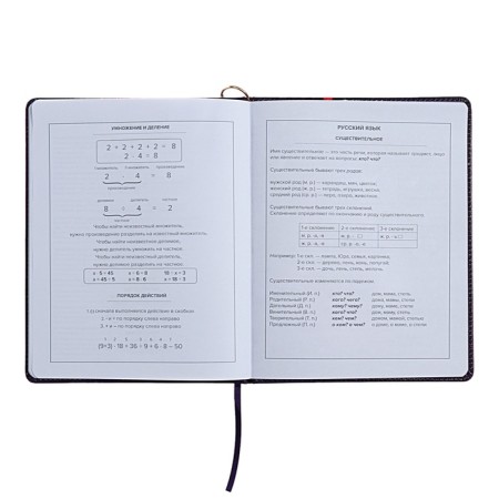 Universal Diary Grade 1-11, 48 sheets "Magic Cat", a solid cover of artificial leather, lies, universal cheat sheet, block 80 g/m2-14