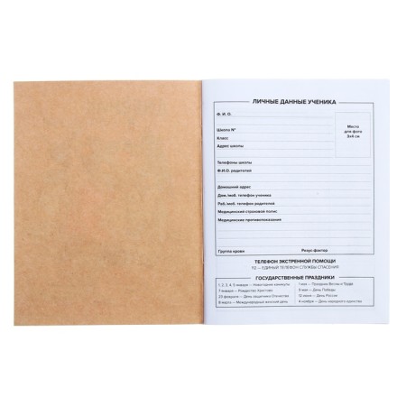 Universal diary for grades 1-11, 48 sheets "Crazy Panda", soft cover, selective UV-fluid, matte lamination-4