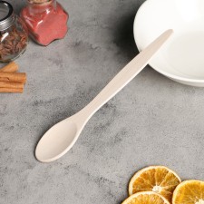 A spoon of wooden 