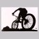 Stick 3D Interior cycling 57*40cm