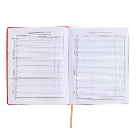 School diary for grades 1-11, "cat", firm covering with foam, artificial leather, lacing, liesse, universal cheat sheet, 48 sheets, block 80g/m2-7