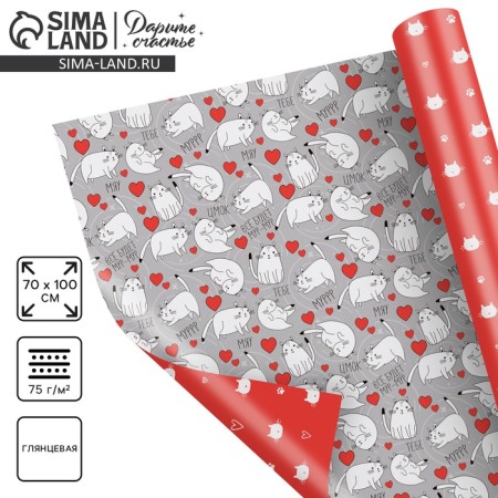 Paper packing gloss double -sided "cats", 70 x 100 cm