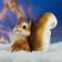 Garden figure "Squirrel Sonya" 13x8x14cm