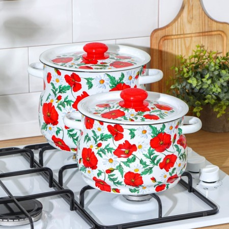 Set of pots "Siberian poppies", 2 items: 4 l, 5.5 l, enameled covers, induction-3