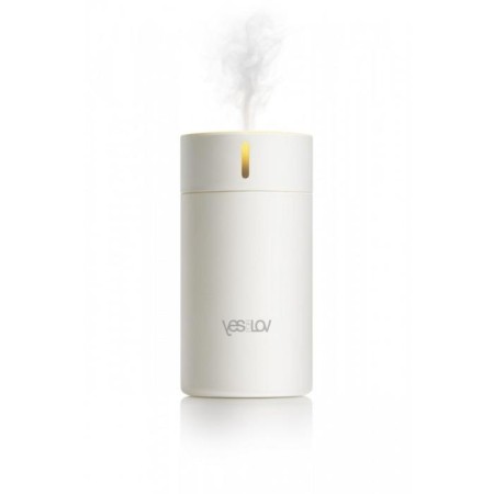 The set aromatic diffuser + filler with an enchanting aroma, 50 ml