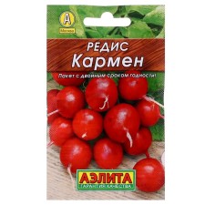 Seeds Radis 