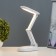 Transformer table lamp LED 5W USB AKB 3 mode 7.5x14.5x34 cm Risalux