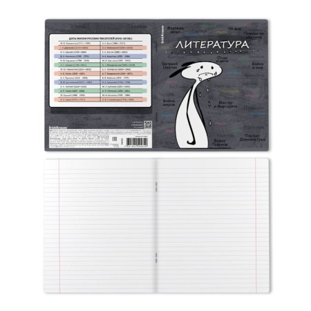 Subject notebook, 48 sheets, ruler, literature Erichkrause "Chubrik", plastic cover silk-screen cover, Blok Offset 100%, information block-1