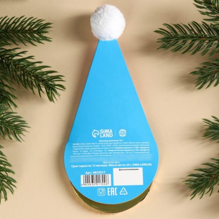Chocolate medal in the Magic Winter cap, 25 g.-2