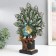 Polystone souvenir "Peacock with a green tail with feathers with gold stroke" 25.5x9x33 cm